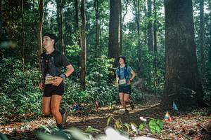 BIB: 
                            <button type="button" onclick="openModal(26077058)" class="btn btn-primary btn-sm float-right btn-popup" data-toggle="modal" data-target=".modal-high-quality">
                        <i class="fas fa-shopping-cart"></i> Add to Cart
                    </button>
                                            <button type="button" onclick="isThisMe(26077058, true)" class="btn btn-success btn-sm float-right btn-popup btn-isme hidden" data-toggle="tooltip" data-placement="bottom" title="นี่คือรูปของคุณใช่ไหม คลิกที่นี่เพื่อเอาเข้าอัลบั้ม">
                        <i class="fas fa-plus"></i> Add to album
                    </button>
                    <button type="button" onclick="isThisMe(26077058, false)" class="btn btn-warning btn-sm float-right btn-popup btn-isnotme hidden">
                        <i class="fas fa-ban"></i> Remove from album
                    </button>